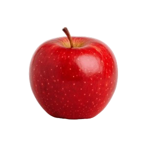 Nutrition Coach