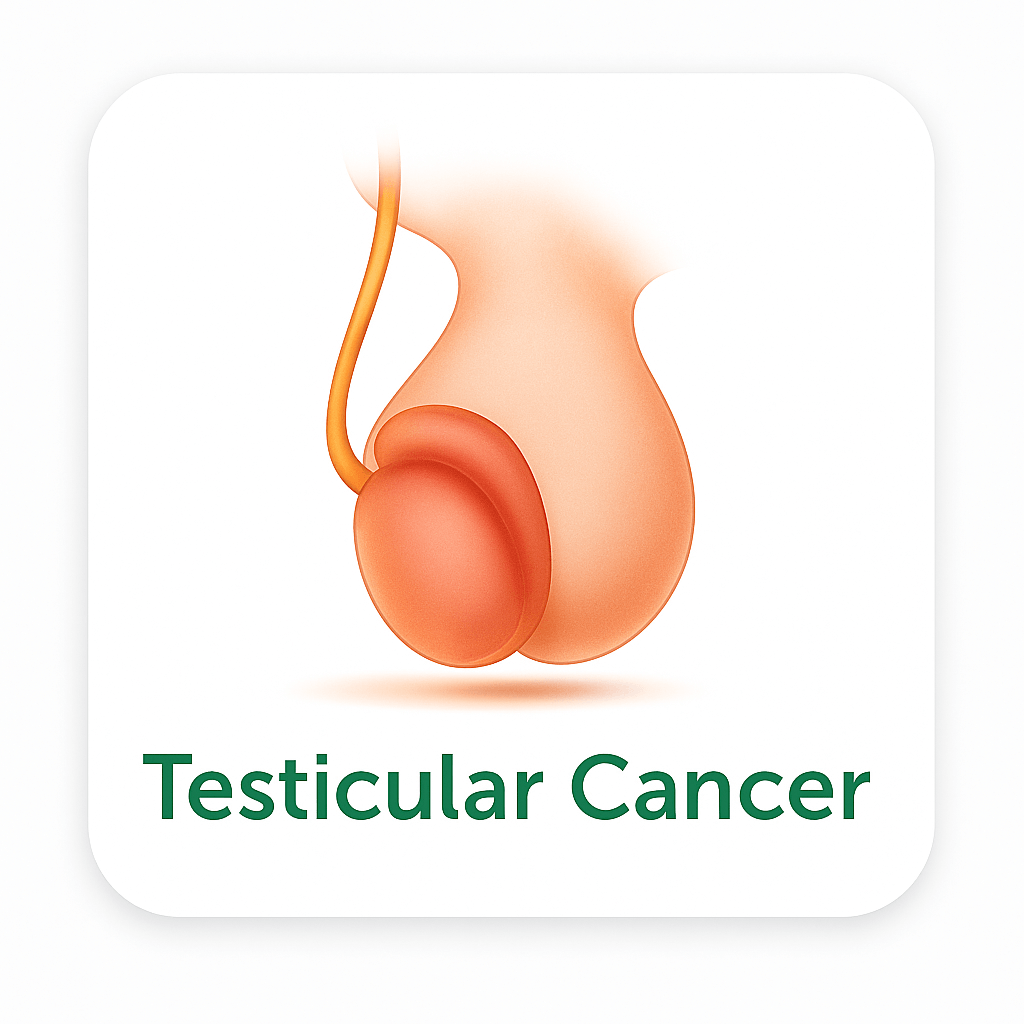 Testicular Cancer