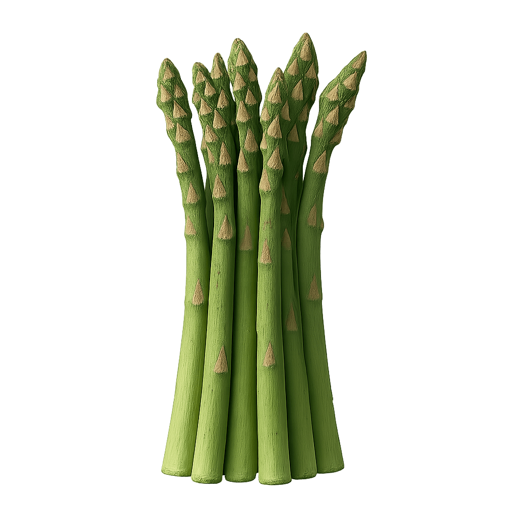Asparagus
