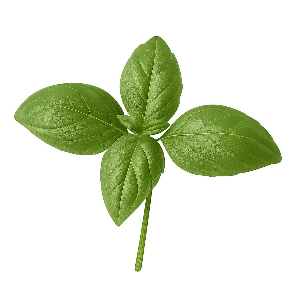 Basil (Fresh, Raw)