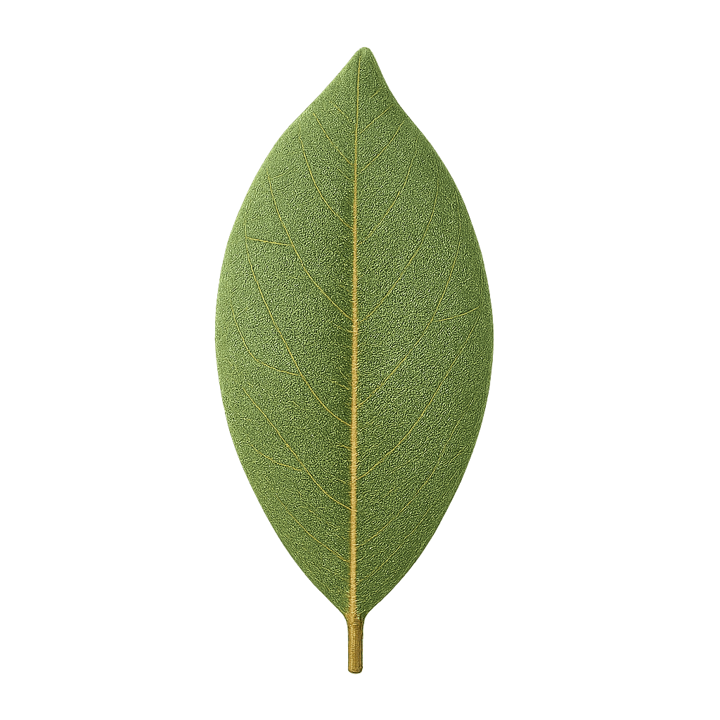 Bay Leaf (Dried)