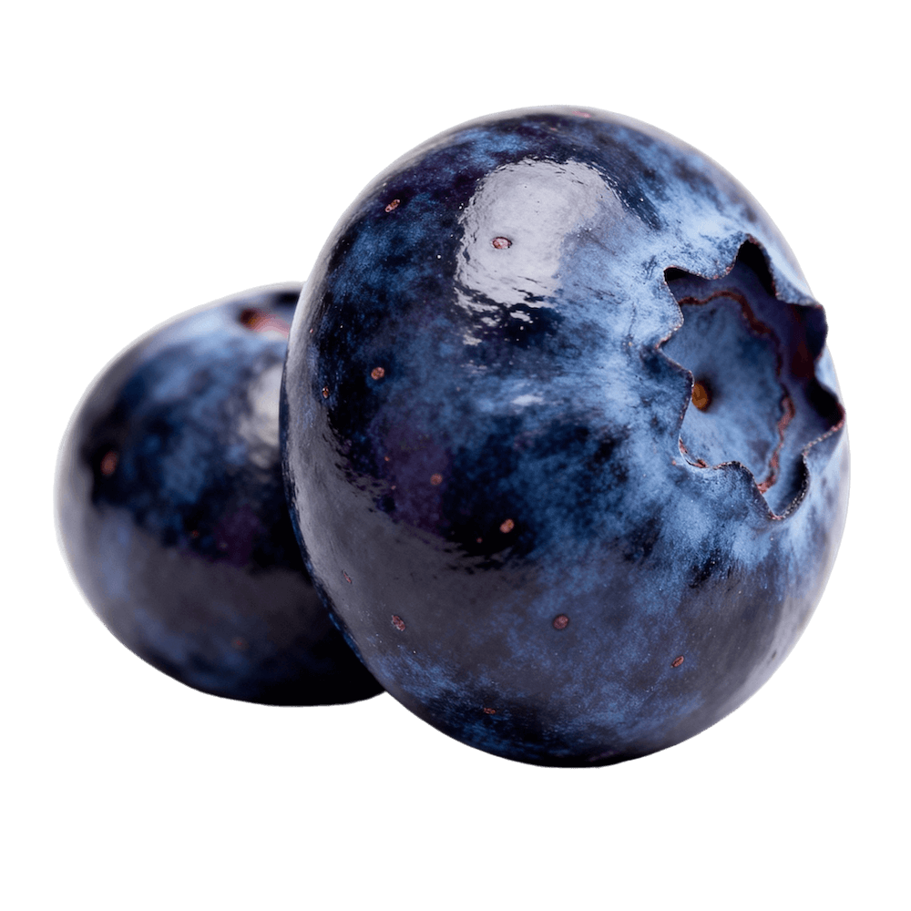 Bilberry (wild European blueberry)
