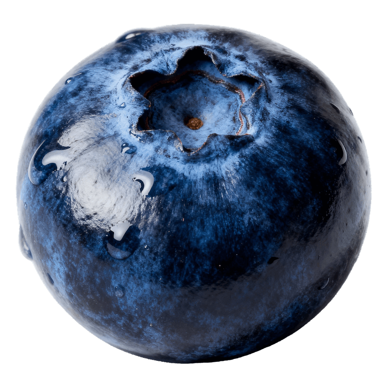 Blueberry