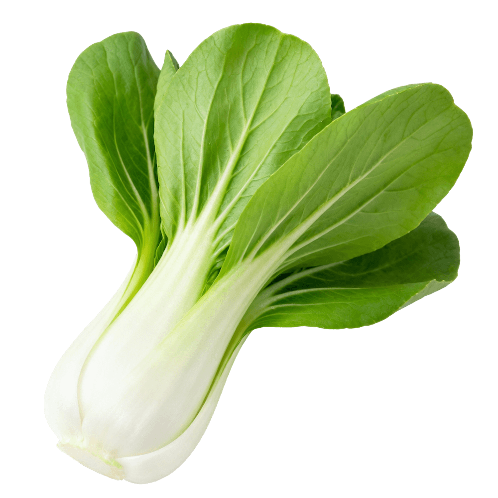 Bok Choy (Pak Choi)