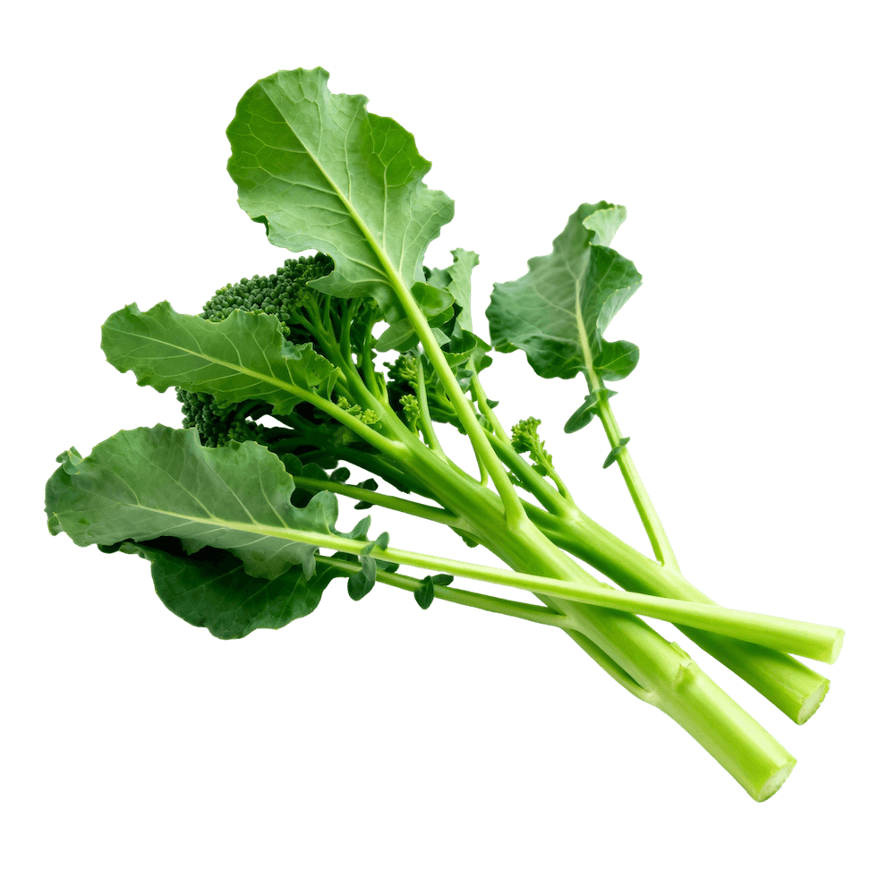 Broccoli Rabe (Rapini)