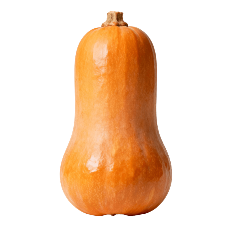 Butternut Squash