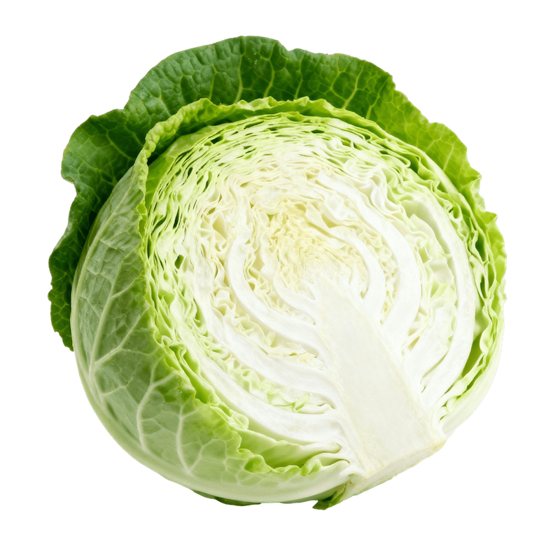 Cabbage (Green)