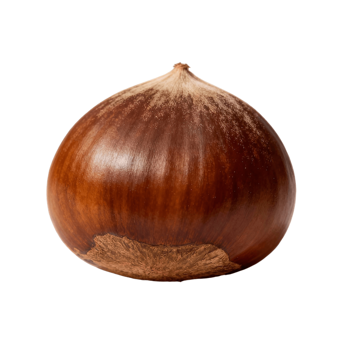 Chestnut (Raw, Peeled)