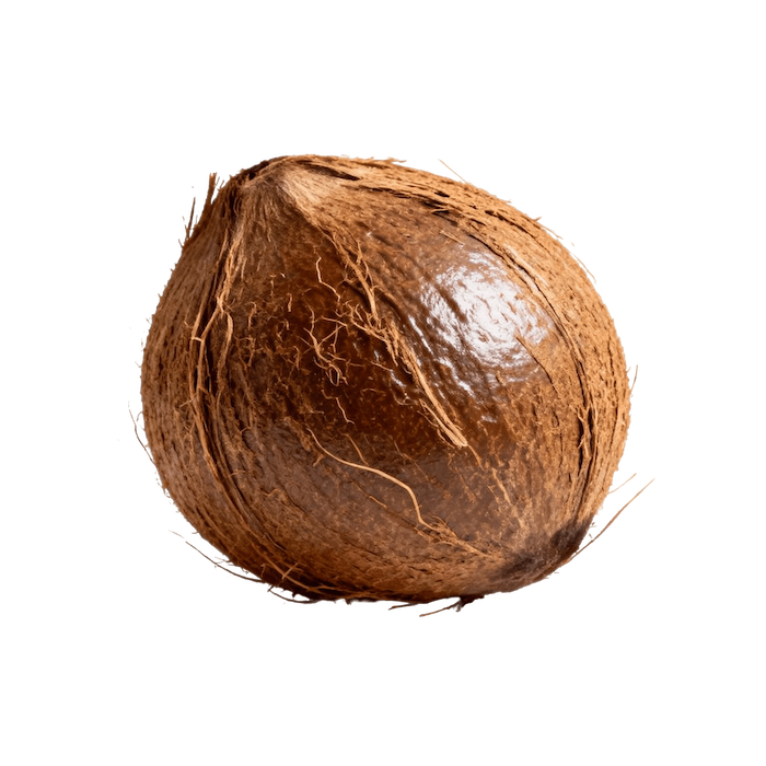 Coconut (raw meat)