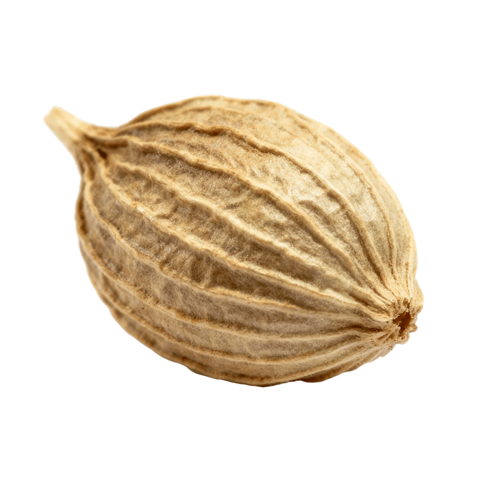 Coriander Seeds (Whole, Raw)