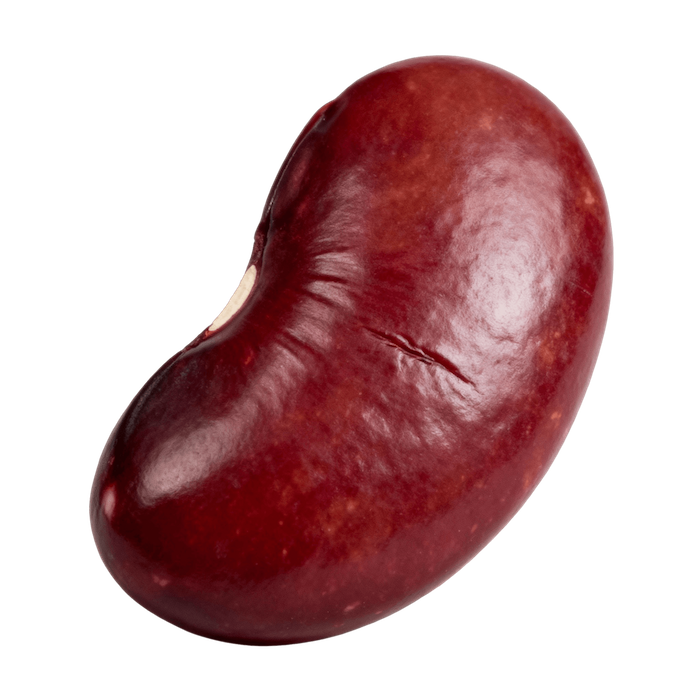 Cranberry (Roman/Borlotti) Beans (Cooked)
