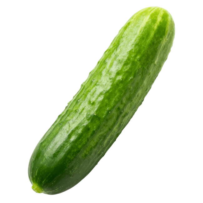 Cucumber