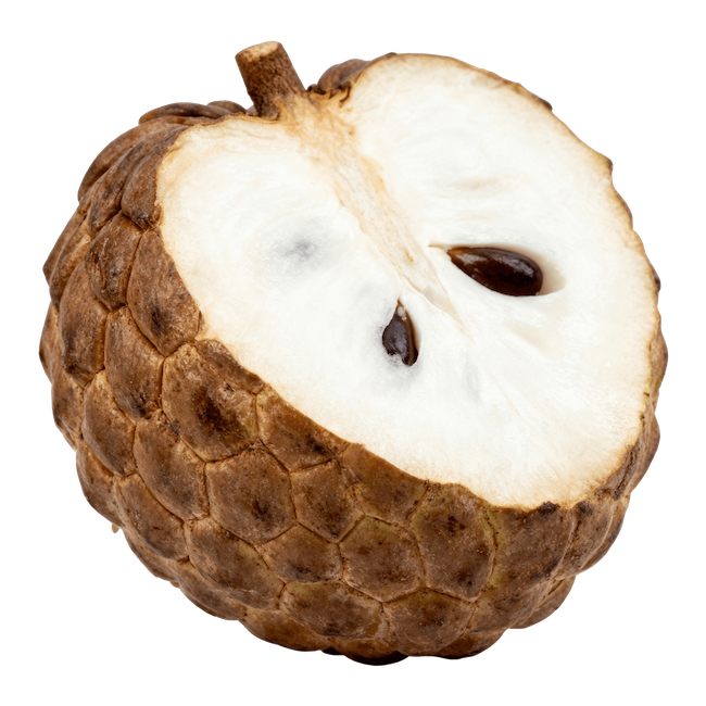 Custard Apple (Atemoya type)