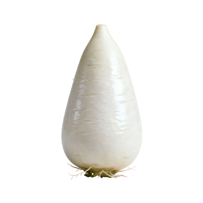 Daikon Radish