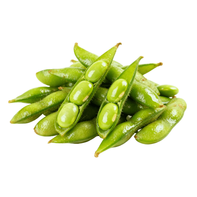 Edamame (Immature Soybeans, Cooked)