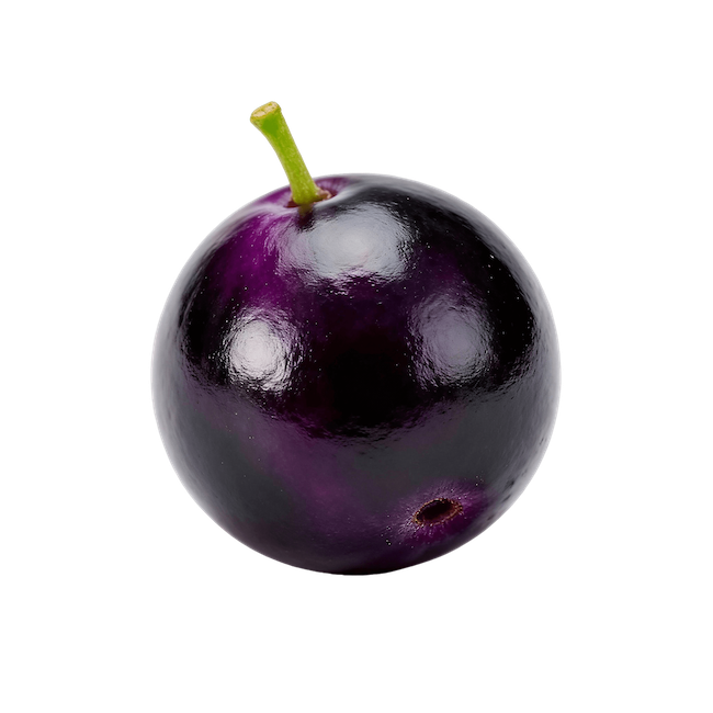 Elderberry