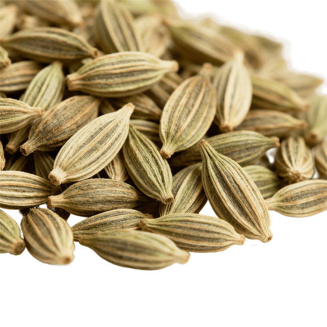 Fennel Seeds (Whole, Raw)