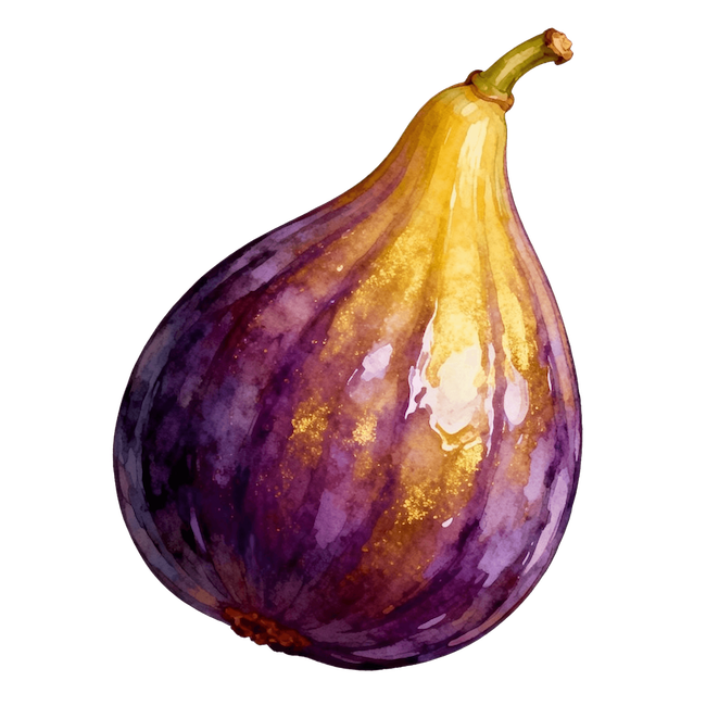 Fig