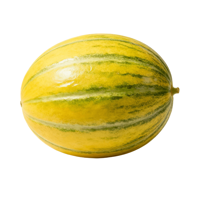 Galia melon