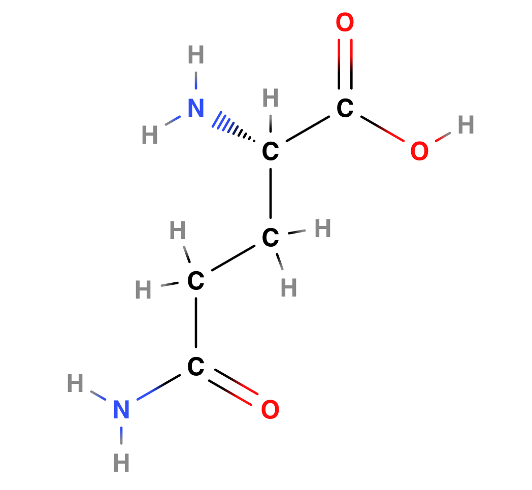 Glutamine
