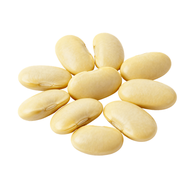 Great Northern Beans (Cooked)