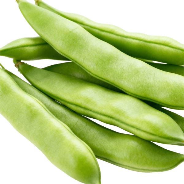 Green Beans (Snap Beans)
