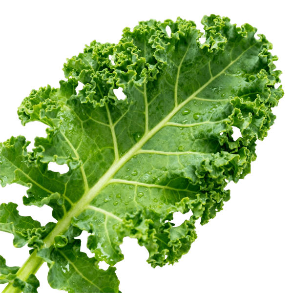 Kale