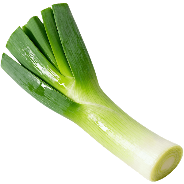 Leek