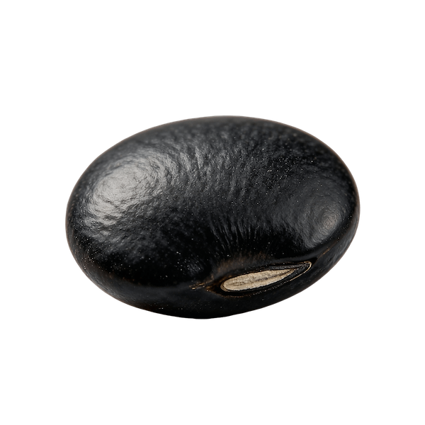 Lentils – Black (Beluga, Cooked)