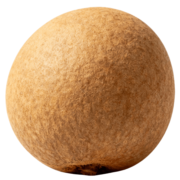 Longan