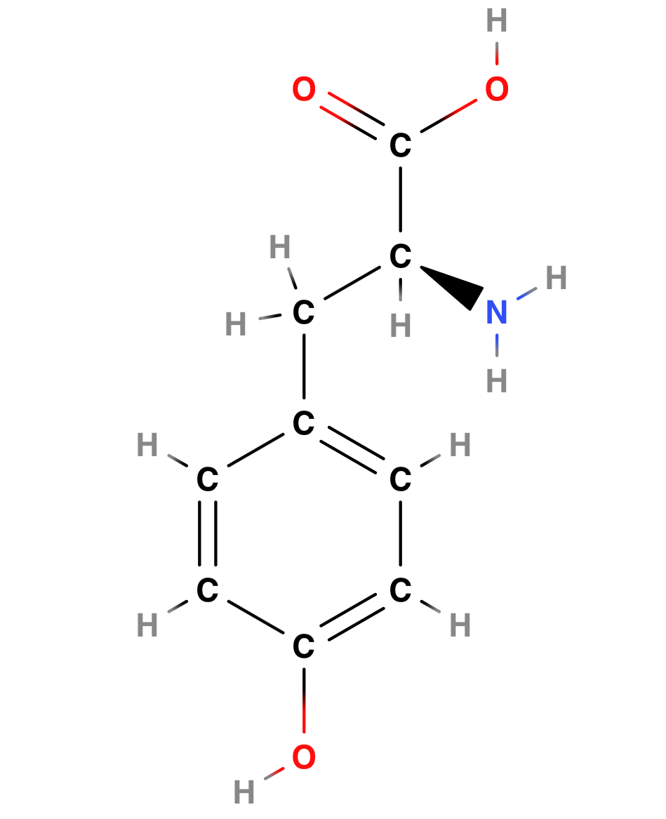 Tyrosine