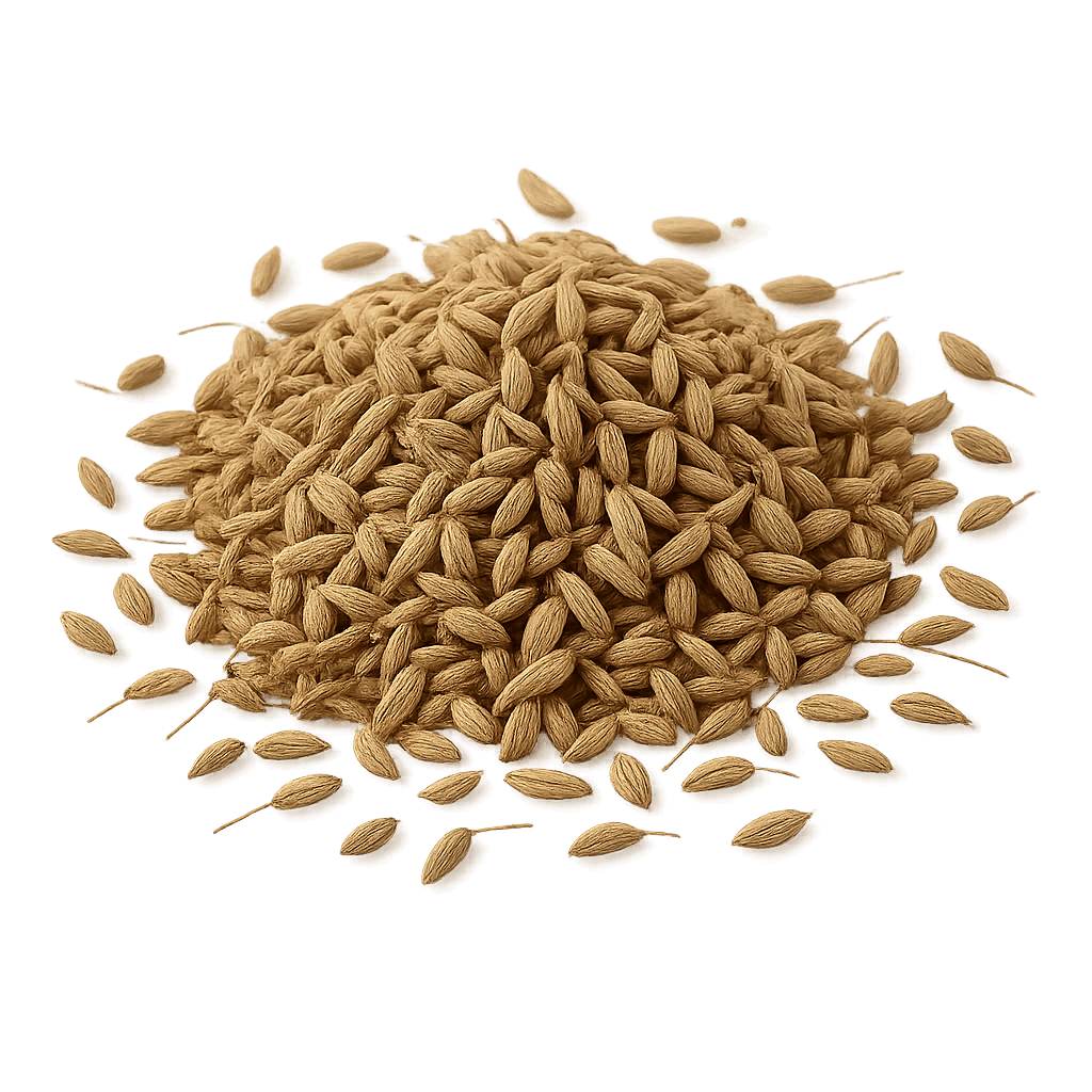 Anise Seeds (Whole, Raw)