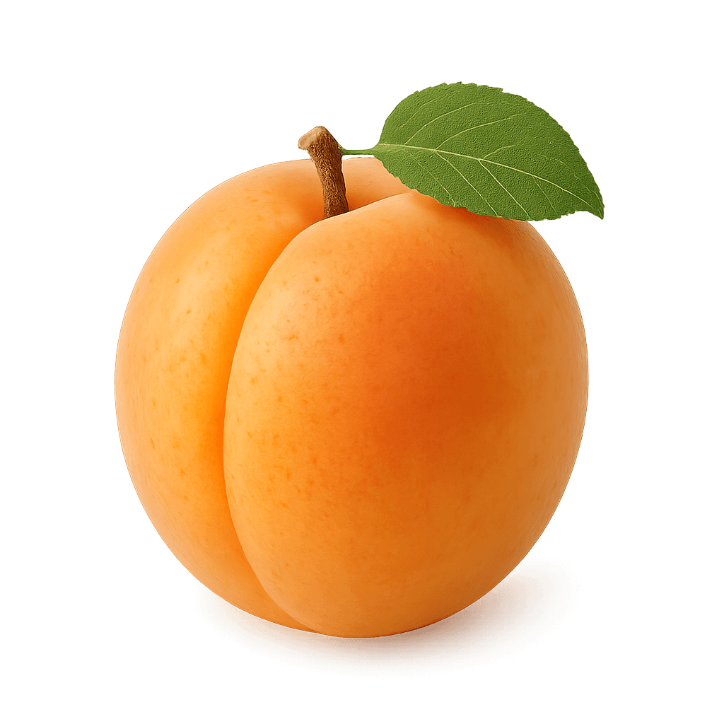 Apricot