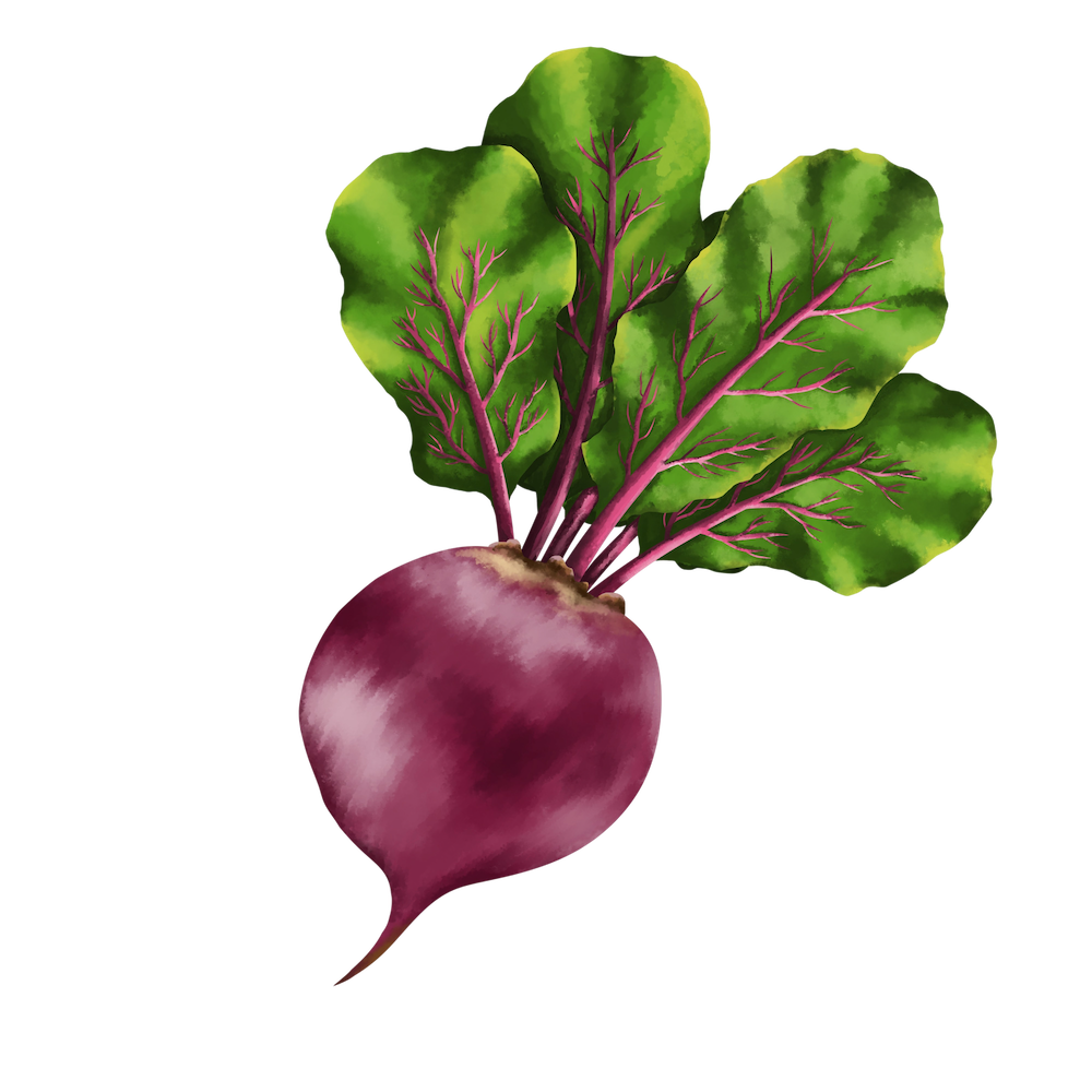Beetroot