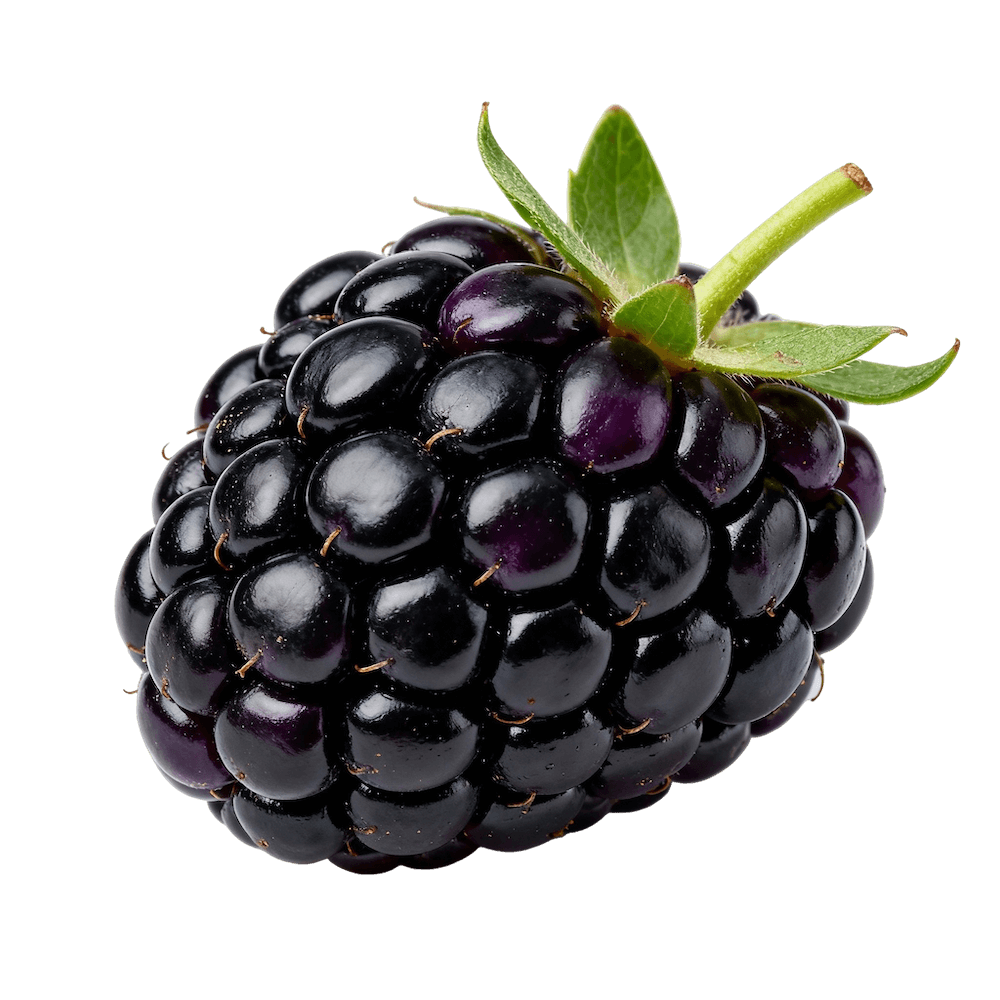 Blackberry