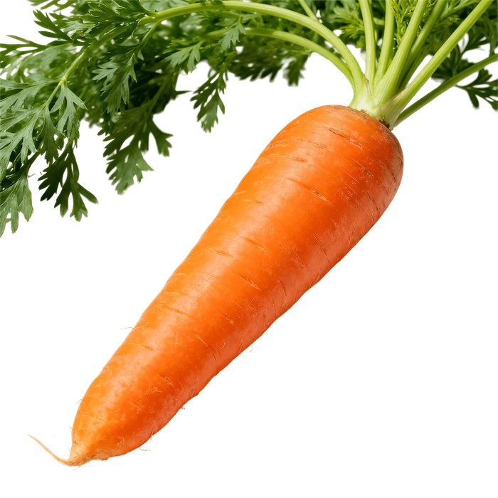 Carrot