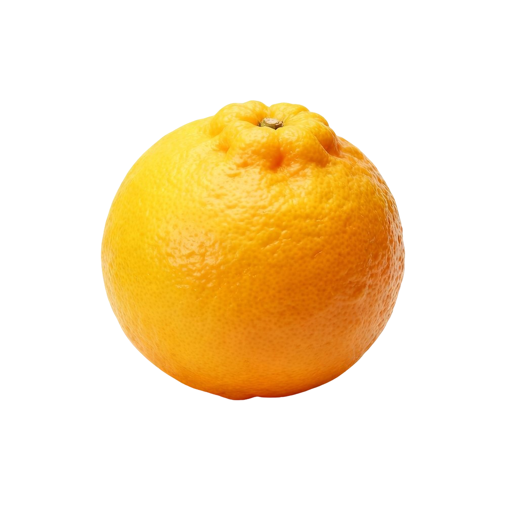 Bergamot (Citrus bergamia)