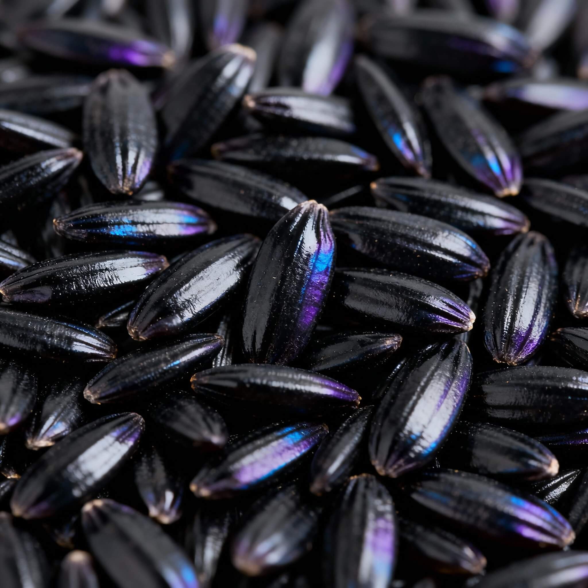 Black Rice (Cooked)
