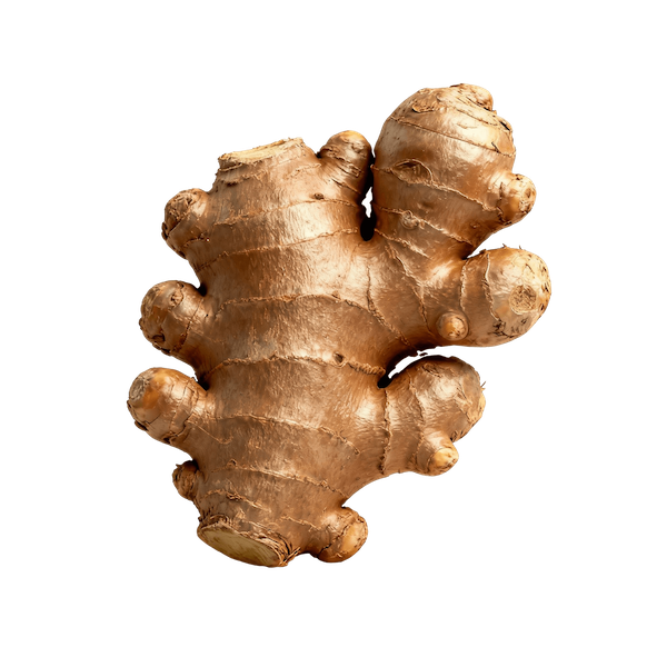 Ginger (Ground)