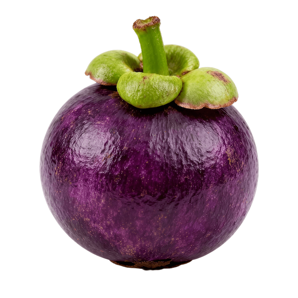 Mangosteen