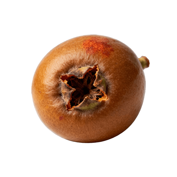 Medlar