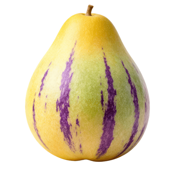Melon Pear (Pepino Melon)