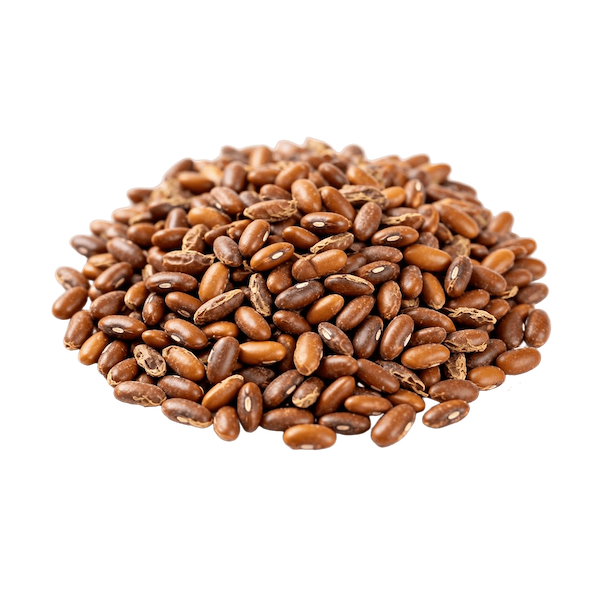 Moth Beans (Cooked, Boiled, No Salt)