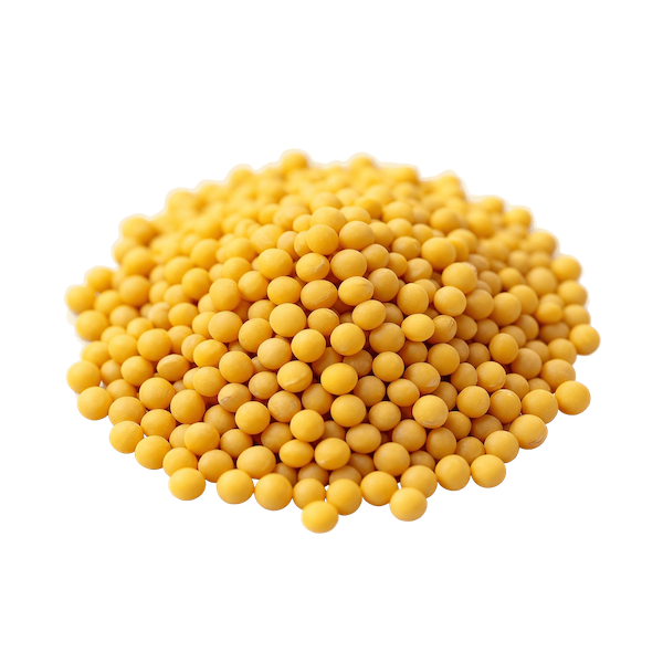 Mustard Seeds (Yellow, Whole, Raw)