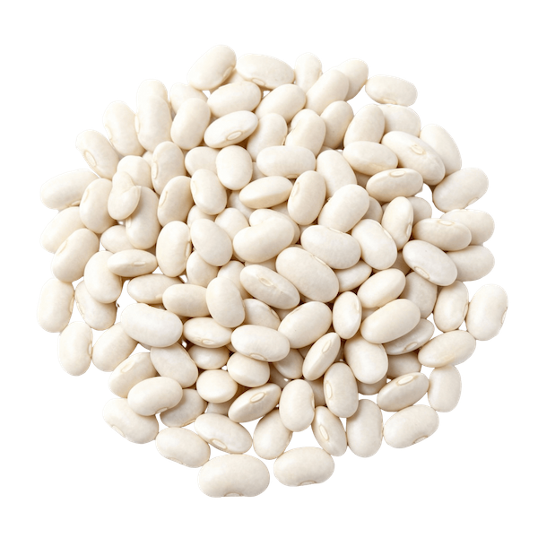 Navy Beans (Cooked)