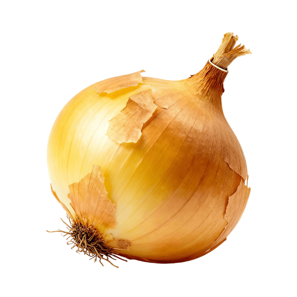 Onion (Yellow)