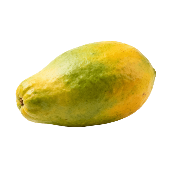 Papaw (Asimina triloba)