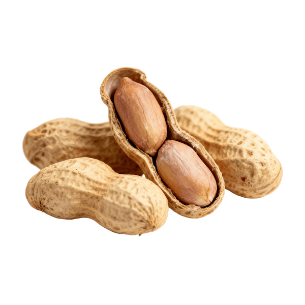 Peanut (Raw, Unroasted, Unsalted)
