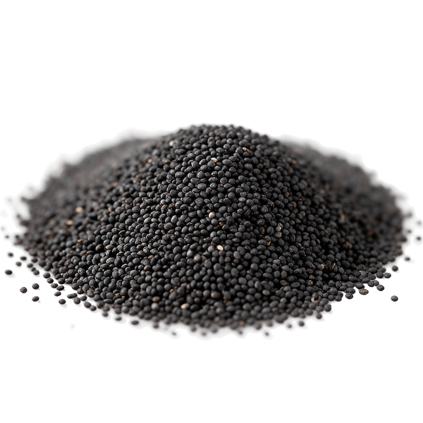 Poppy Seeds (Whole, Dried)