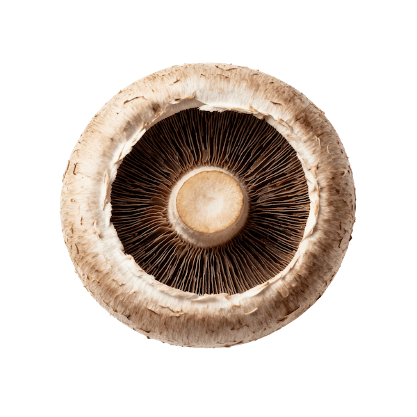 Portobello (Raw)